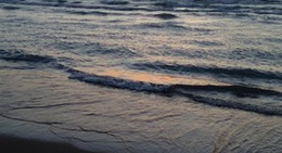 obrázek - Pinery Dunes Check-in