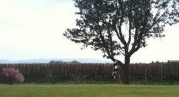 obrázek - Golflands