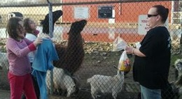 obrázek - Gas City Park / Zoo