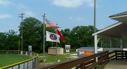 obrázek - Spring Hill Little League Ball Parks