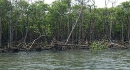 obrázek - 仲間川