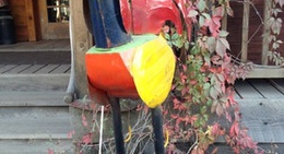 obrázek - Meyers Falls Market