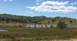 obrázek - Bonnie Doon Picnic Area @ Lake Eildon