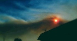 obrázek - Parowan Market