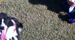 obrázek - Burnett Heads Lighthouse Park