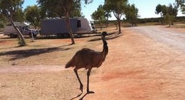 obrázek - Cervantes Beach