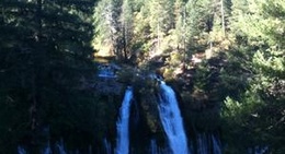 obrázek - Black Berry Patch Restaurant