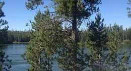 obrázek - Bill's Island