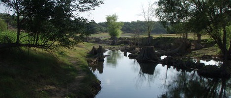 obrázek - Spicewood