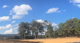 obrázek - Thung Salang Luang National Park (อุทยานแห่งชาติทุ่งแสลงหลวง)