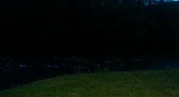 obrázek - Osprey Park