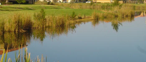 obrázek - Cutler Bay