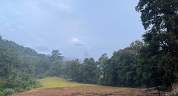 obrázek - In Ze Middle Of Nowhere! (jungle Trek)