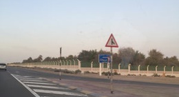 obrázek - غابات مريخة