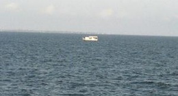 obrázek - Phillip Beal Bridge