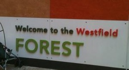 obrázek - Westfield Forest Family PlaySpace