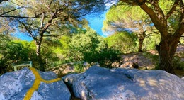 obrázek - مشواة الغابة