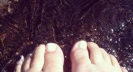 obrázek - Le Cottage