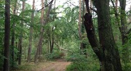 obrázek - Słowiński Park Narodowy (National Park)