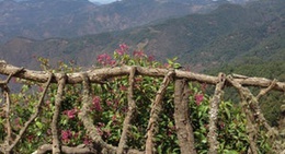 obrázek - San José del Pacífico, Oaxaca