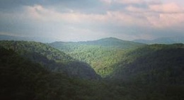 obrázek - Big Bear Cabin