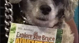 obrázek - Hanover, Ontario