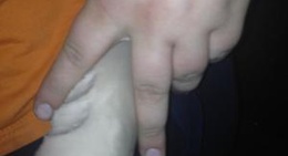 obrázek - База Отдыха Авиатор