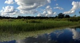 obrázek - Pike lake