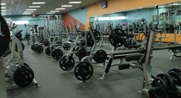 obrázek - Gold's Gym