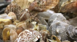 obrázek - 乡情乡味私家菜馆