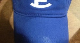 obrázek - Raising Cane's Chicken Fingers