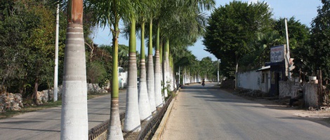 obrázek - Oxkutzcab