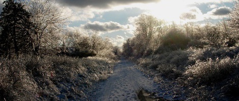 obrázek - Rochester Hills