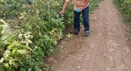 obrázek - Los Lunas, NM