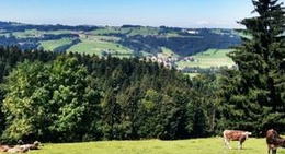 obrázek - Scheidegg im Allgäu