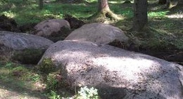 obrázek - Kaltenes Kalvas