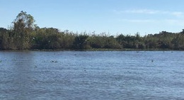 obrázek - Lake Salvador