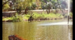 obrázek - Centro Universitario de la Costa (CUC)