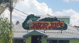 obrázek - Gator Joe's Beach Bar & Grill