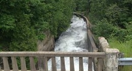 obrázek - Buttermilk