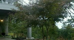 obrázek - Lake michigan shoreline