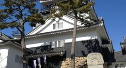 obrázek - Okazaki Castle (岡崎城)
