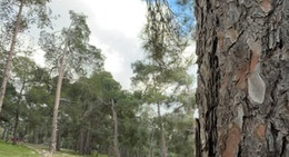 obrázek - Amman National Park (منتزة عمان القومي)