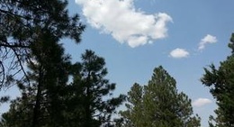 obrázek - Heber, AZ