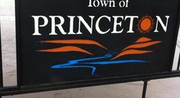 obrázek - Princeton