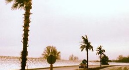 obrázek - Tarnobrzeg