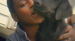 obrázek - Jackson AL