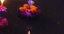 obrázek - ทุ่งทะเล