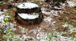 obrázek - На берегу озера