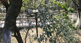 obrázek - Zhongshan Park (中山公园)